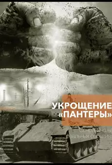 Укрощение «Пантеры»